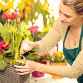Florist Choice Bouquet
